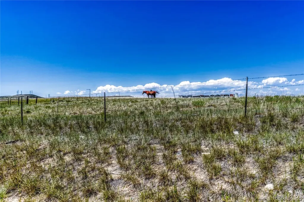 10732 Worthington Circle Parker CO 80134