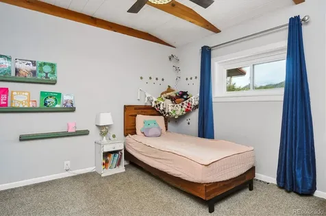 173 S Sangre De Cristo Avenue Buena Vista CO 81211