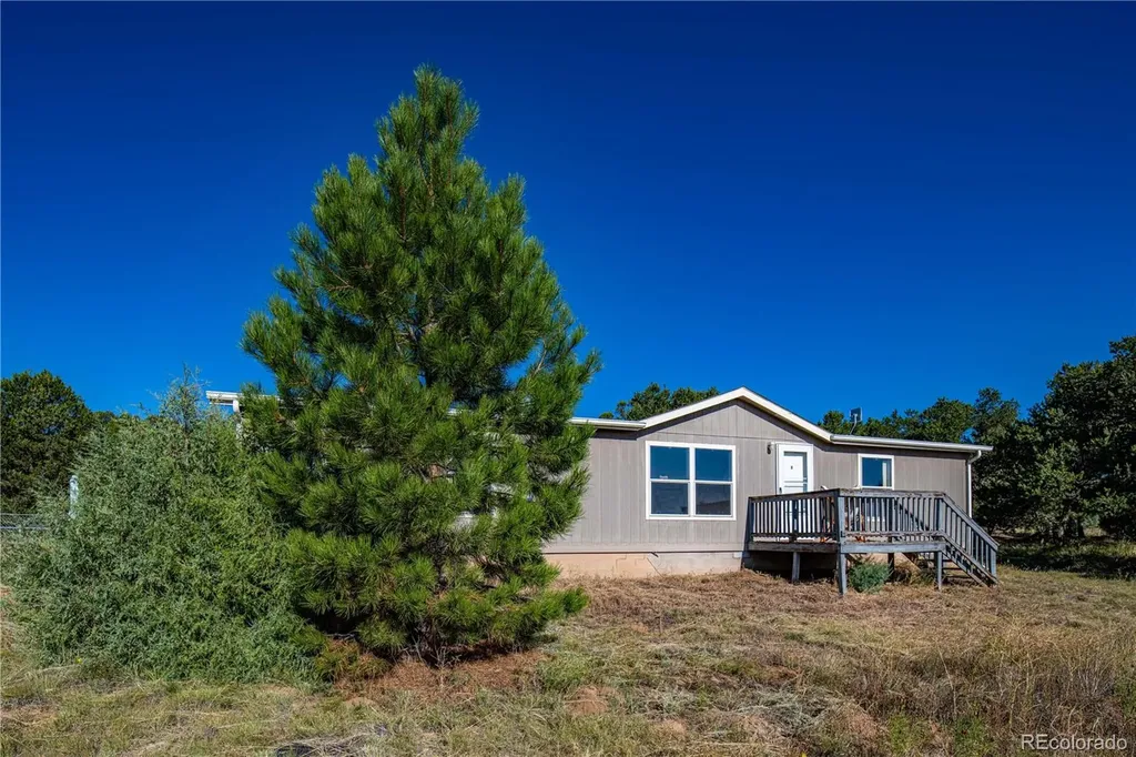 47 Bob Richards Drive Cotopaxi CO 81223