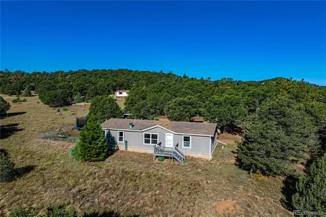 47 Bob Richards Drive Cotopaxi CO 81223