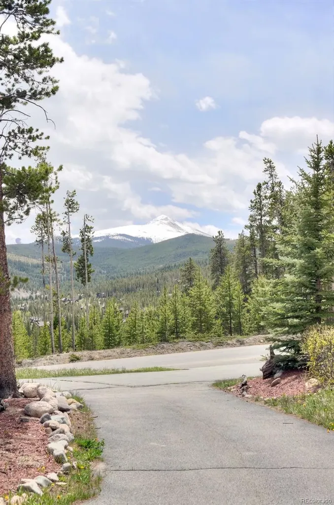 419 Silver Circle Breckenridge CO 80424