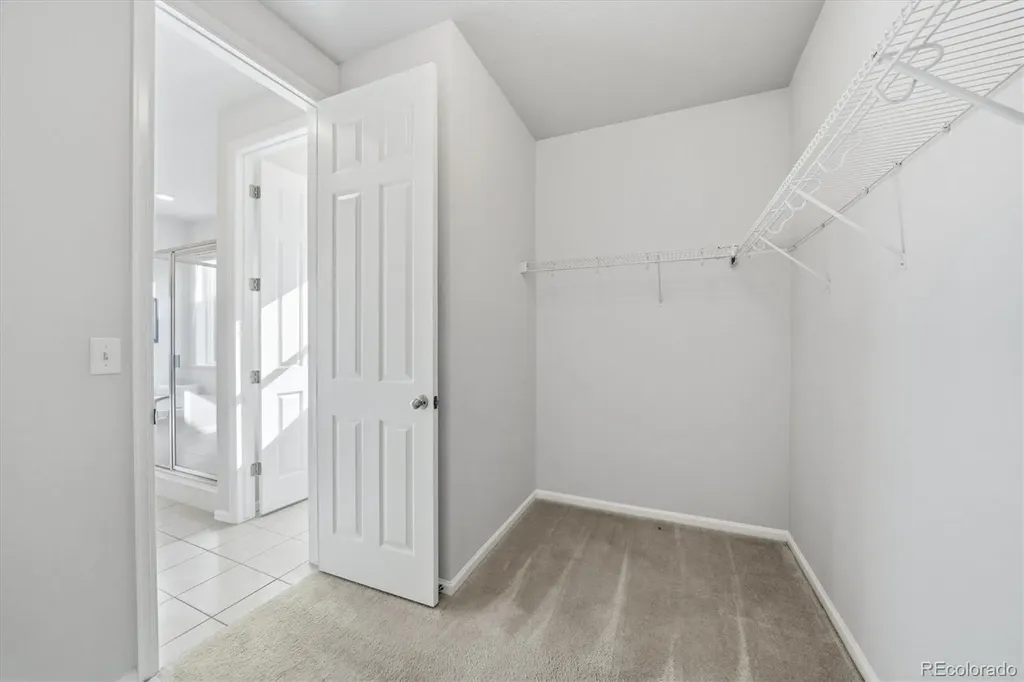 6954 Greenwater Circle Castle Rock CO 80108