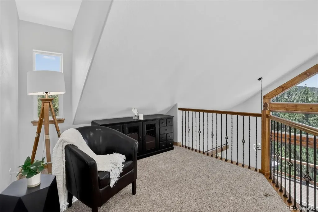341 Rainbow Trail Divide CO 80814