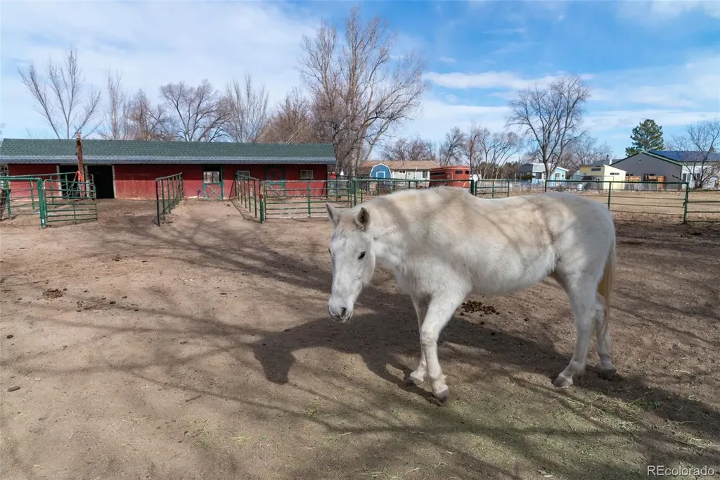 6263 Laodicea Road Longmont CO 80503