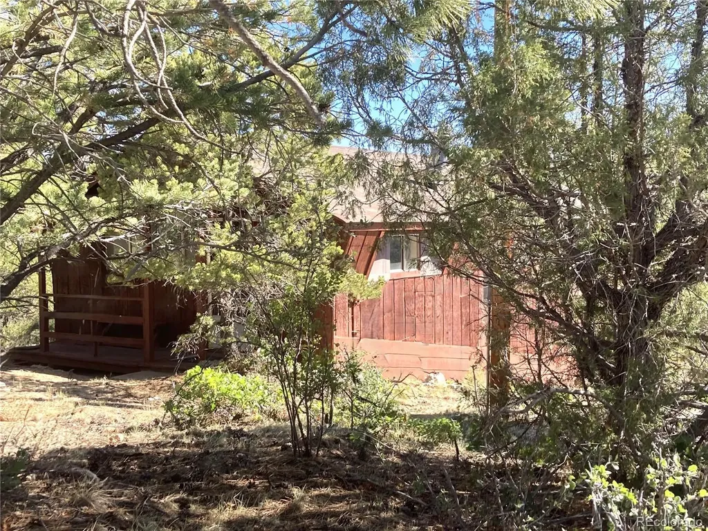 136 Burnt Timber Circle Cotopaxi CO 81223