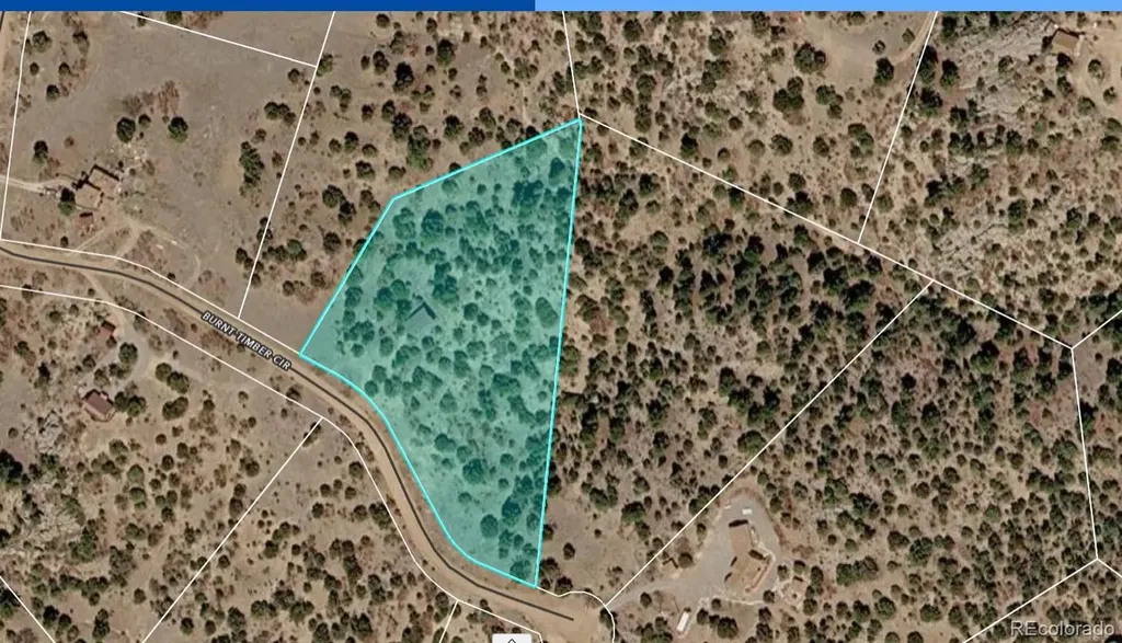 136 Burnt Timber Circle Cotopaxi CO 81223