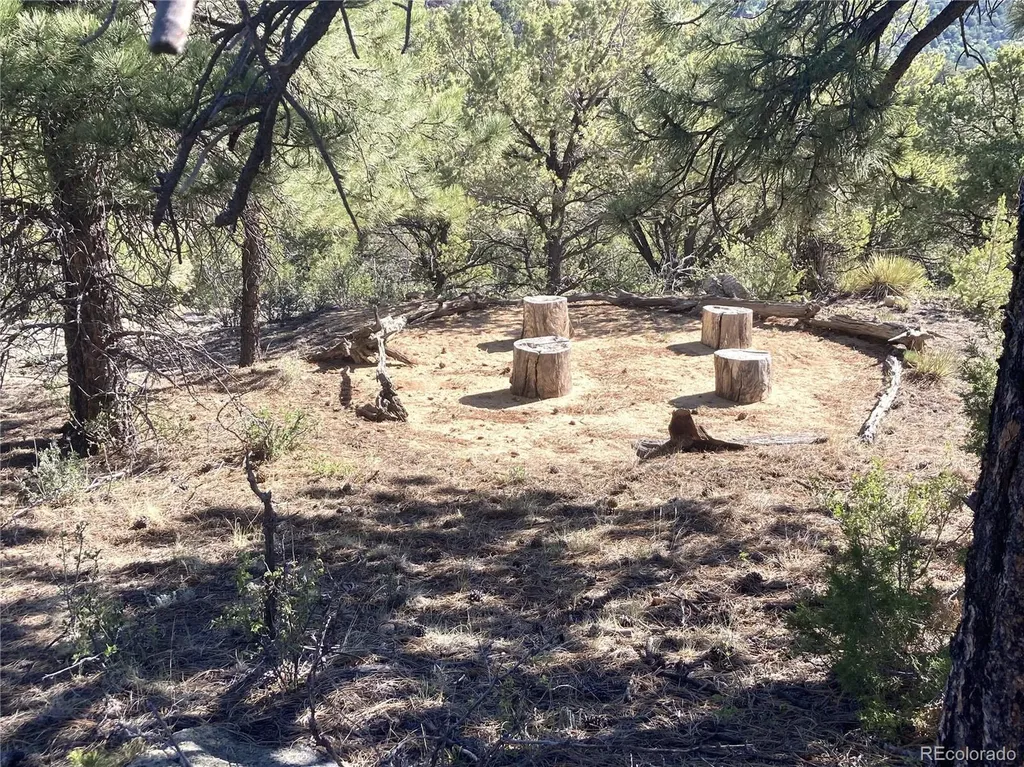 136 Burnt Timber Circle Cotopaxi CO 81223