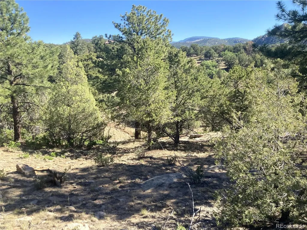 136 Burnt Timber Circle Cotopaxi CO 81223