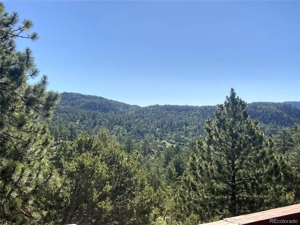 136 Burnt Timber Circle Cotopaxi CO 81223