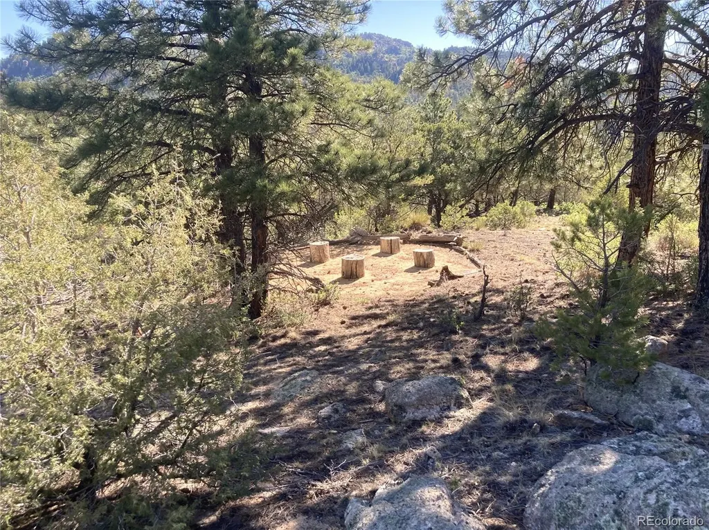 136 Burnt Timber Circle Cotopaxi CO 81223