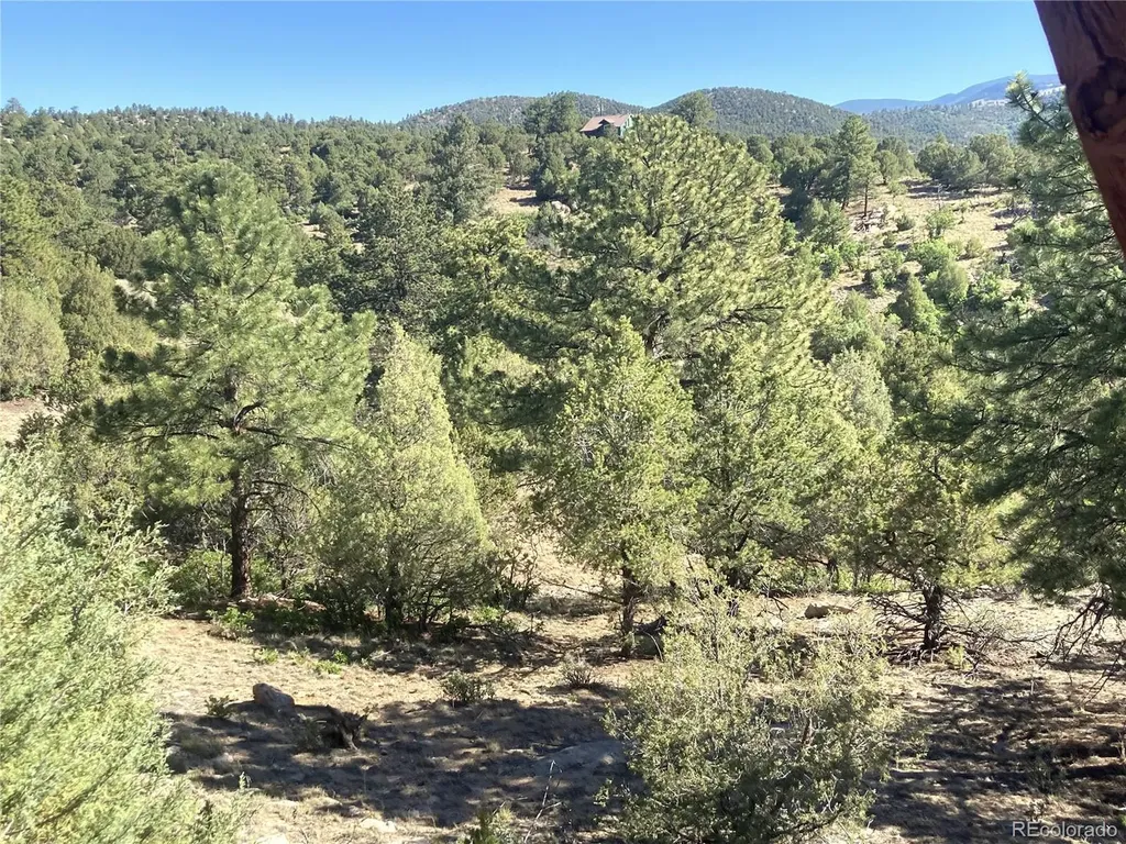 136 Burnt Timber Circle Cotopaxi CO 81223