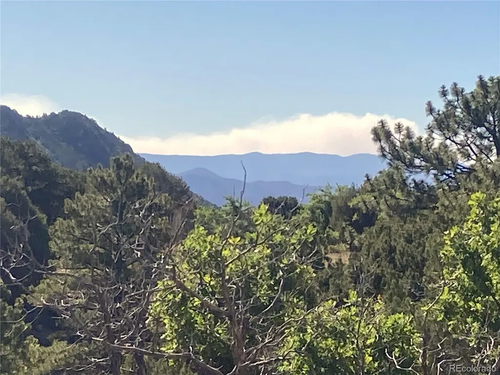 136 Burnt Timber Circle Cotopaxi CO 81223