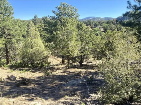 136 Burnt Timber Circle Cotopaxi CO 81223