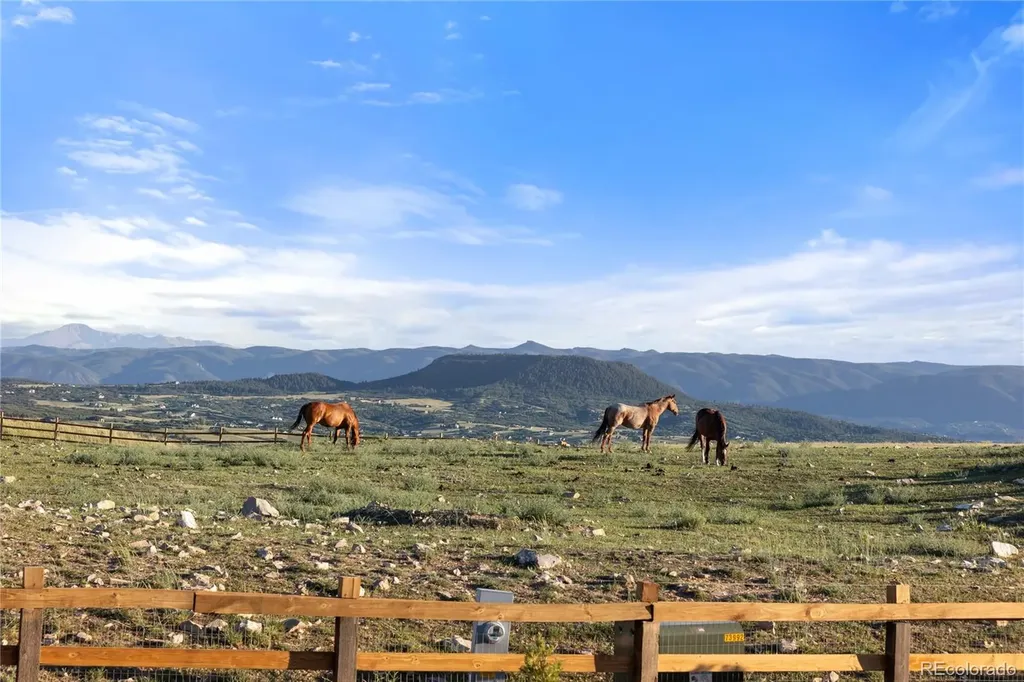144 Stone Pointe Trail Castle Rock CO 80109