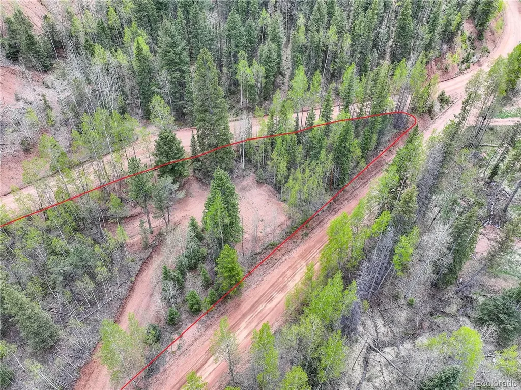416 Willow Road Divide CO 80814