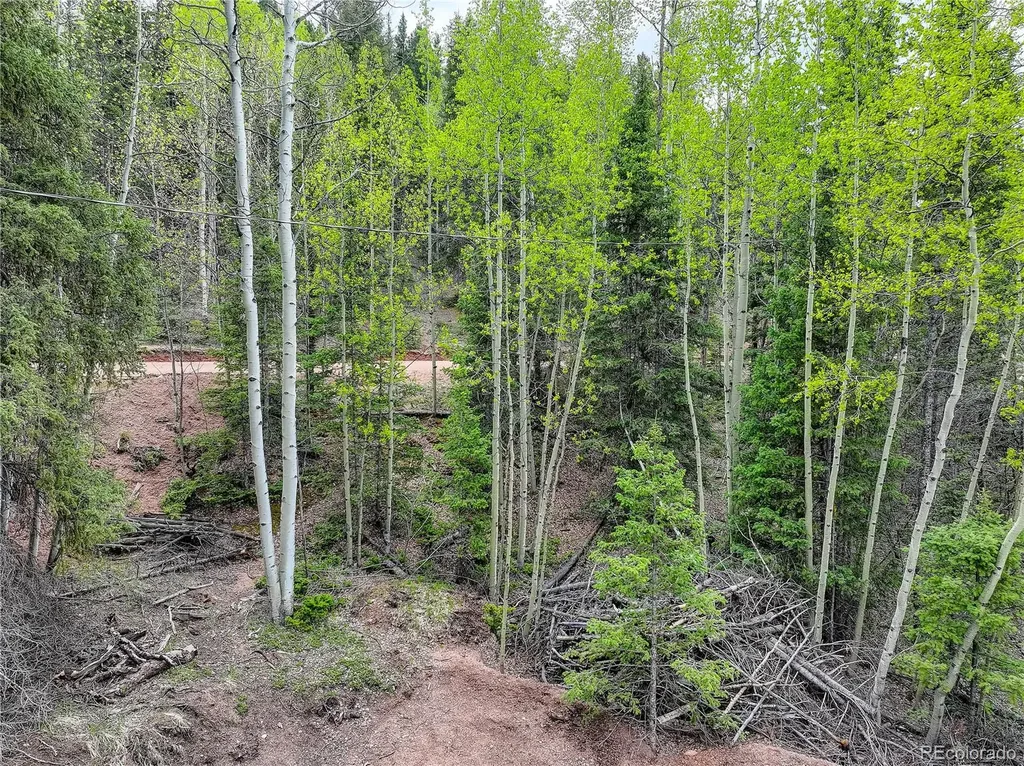 416 Willow Road Divide CO 80814