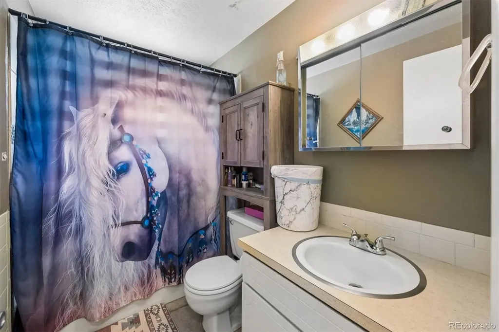 1327 E 21st Street Loveland CO 80538