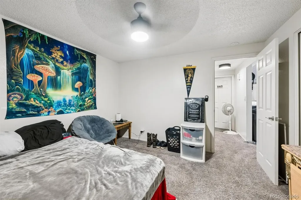 1327 E 21st Street Loveland CO 80538