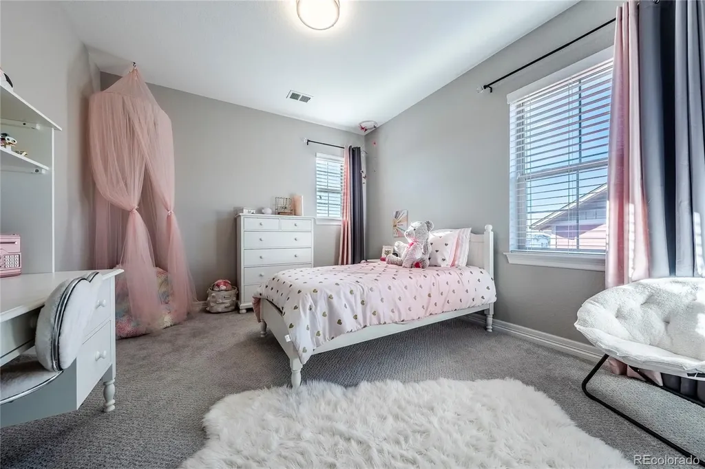 11586 Pine Canyon Drive Parker CO 80138
