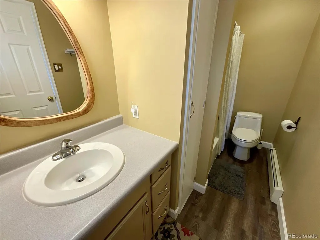 135 Chestnut Street Leadville CO 80461