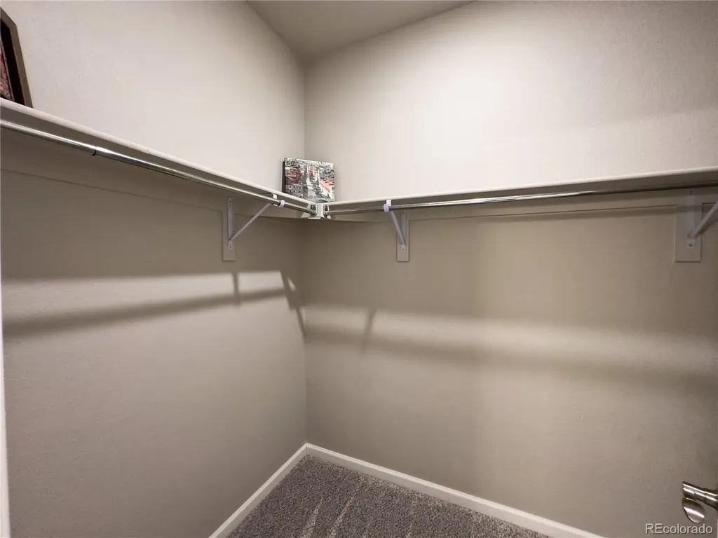 8428 Galvani Trail Littleton CO 80129