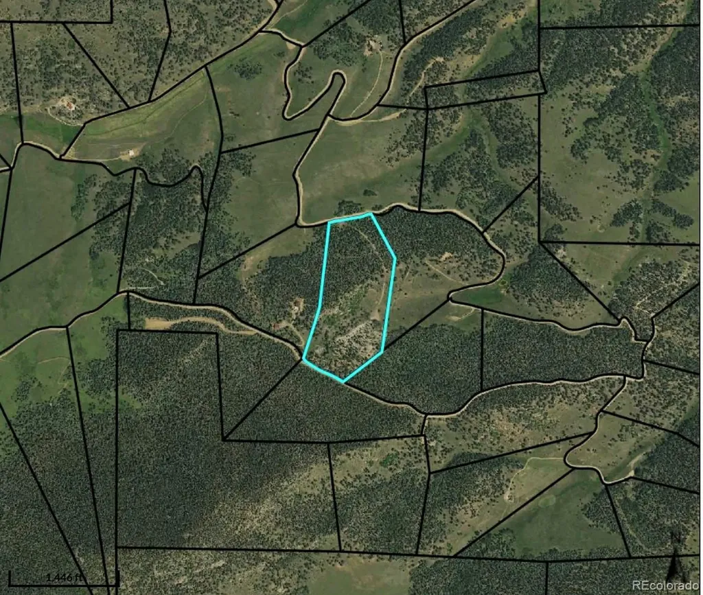 3549 Eagle Springs Road Westcliffe CO 81252