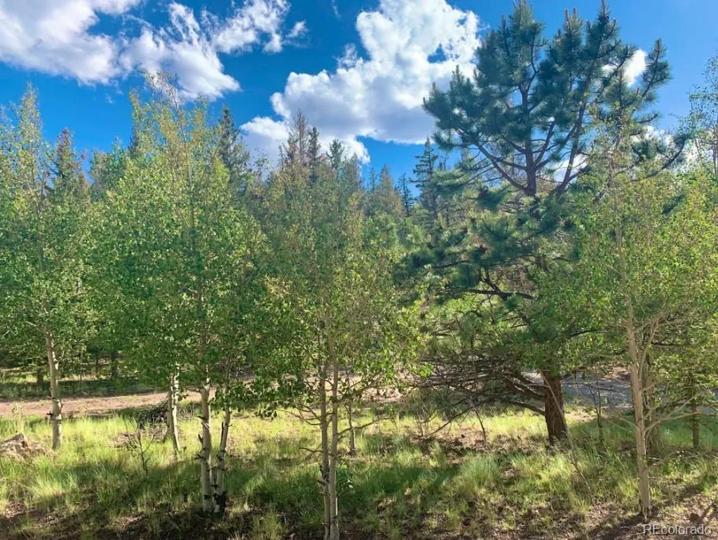 71 Red Cloud Drive Como CO 80432