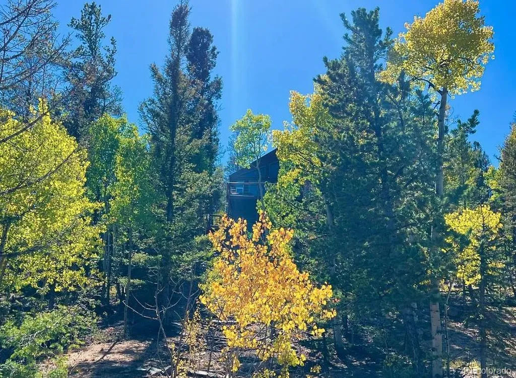 71 Red Cloud Drive Como CO 80432
