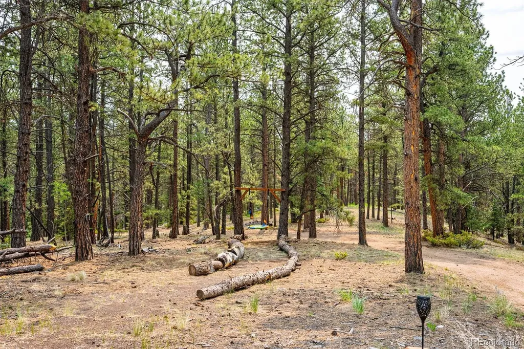 1459 Conestoga Creek Road Florissant CO 80816