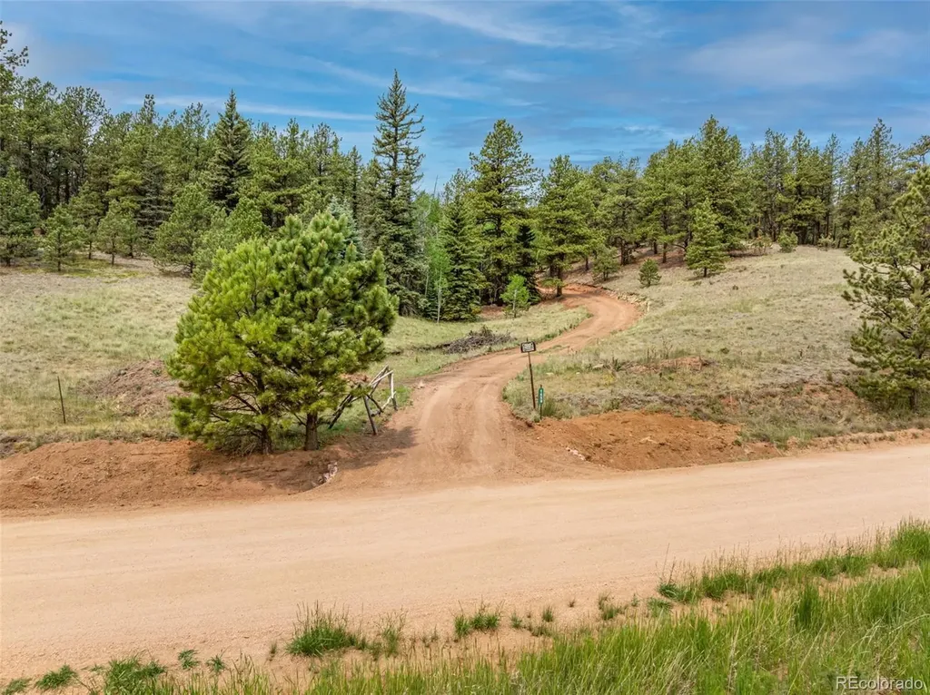 1459 Conestoga Creek Road Florissant CO 80816