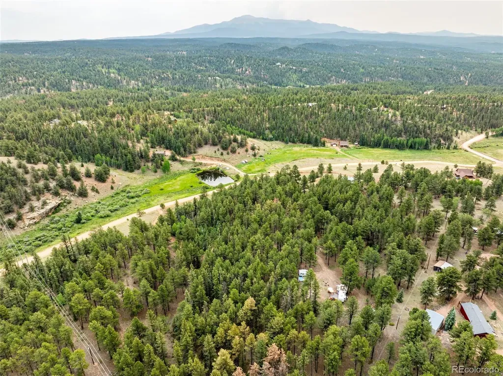 1459 Conestoga Creek Road Florissant CO 80816