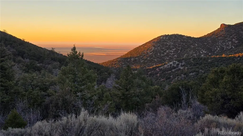 Lot 5106 Redler Road Fort Garland CO 81133