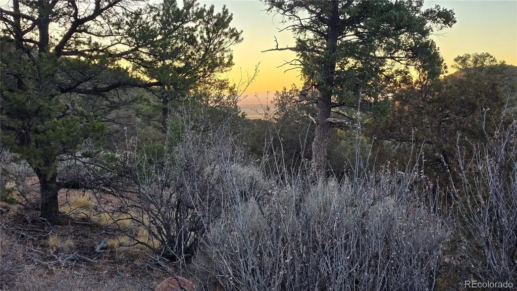 Lot 5106 Redler Road Fort Garland CO 81133