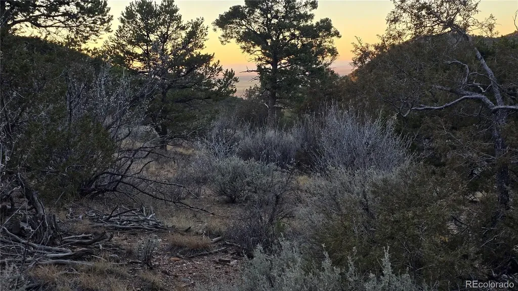 Lot 5106 Redler Road Fort Garland CO 81133