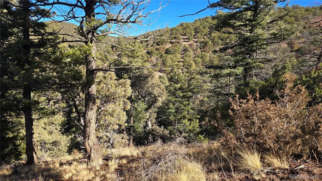 Lot 5106 Redler Road Fort Garland CO 81133