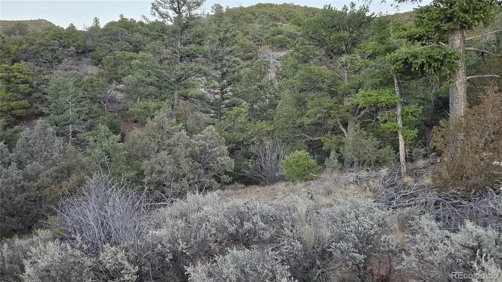 Lot 5106 Redler Road Fort Garland CO 81133