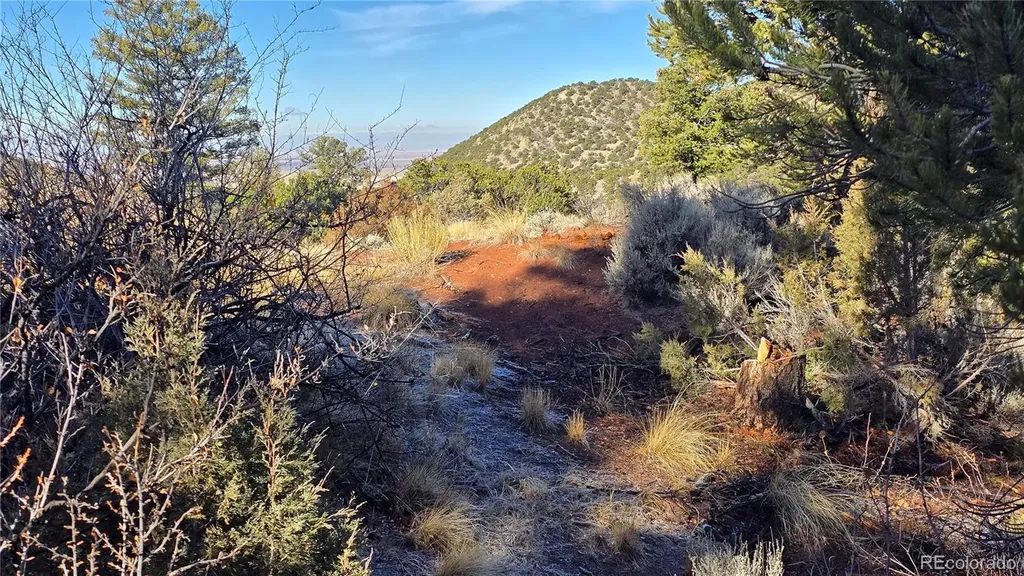 Lot 5106 Redler Road Fort Garland CO 81133