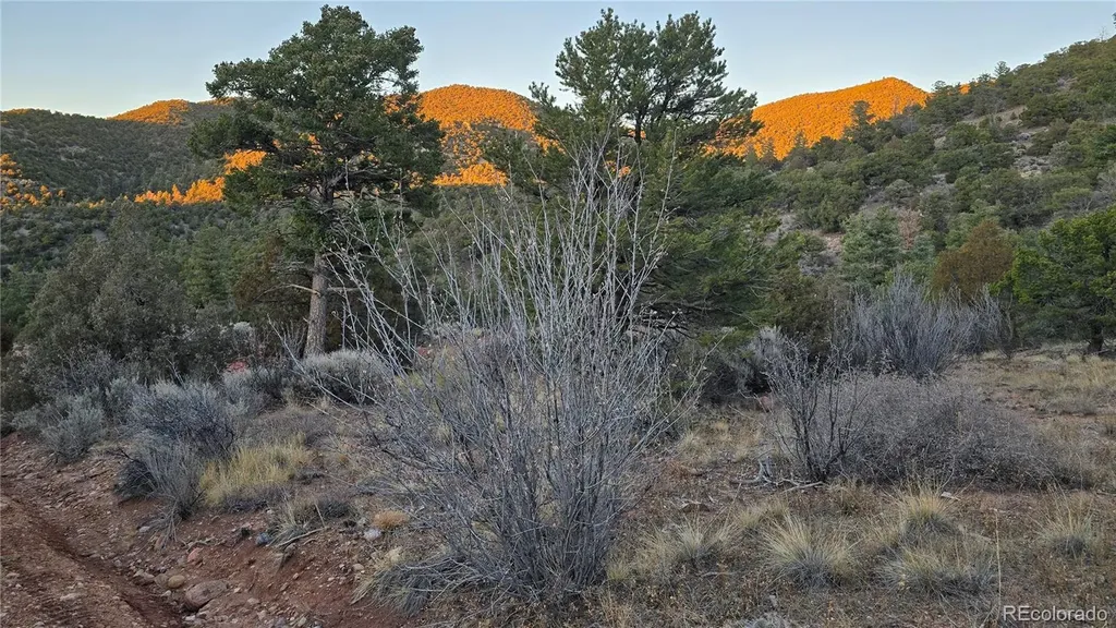 Lot 5106 Redler Road Fort Garland CO 81133
