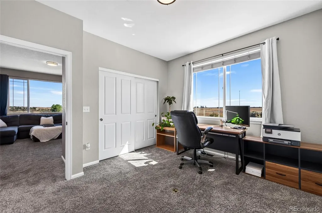 337 Peabody Street Castle Rock CO 80104