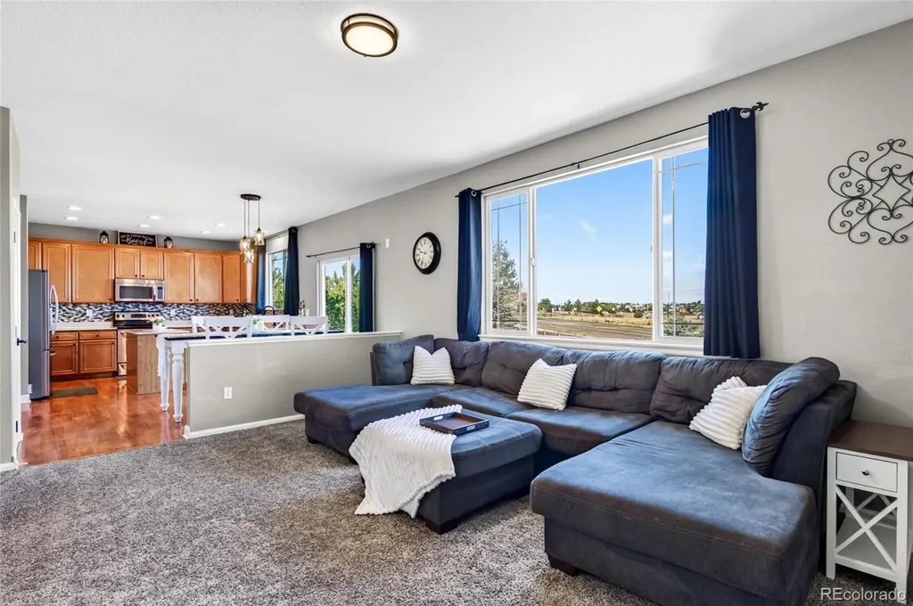 337 Peabody Street Castle Rock CO 80104