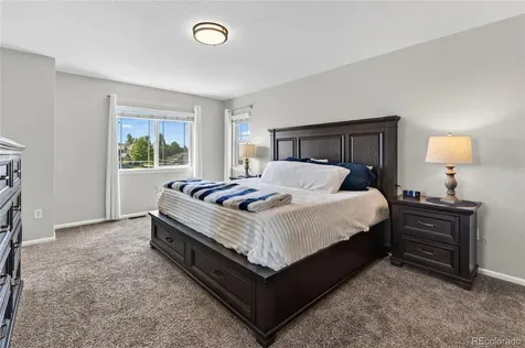 337 Peabody Street Castle Rock CO 80104