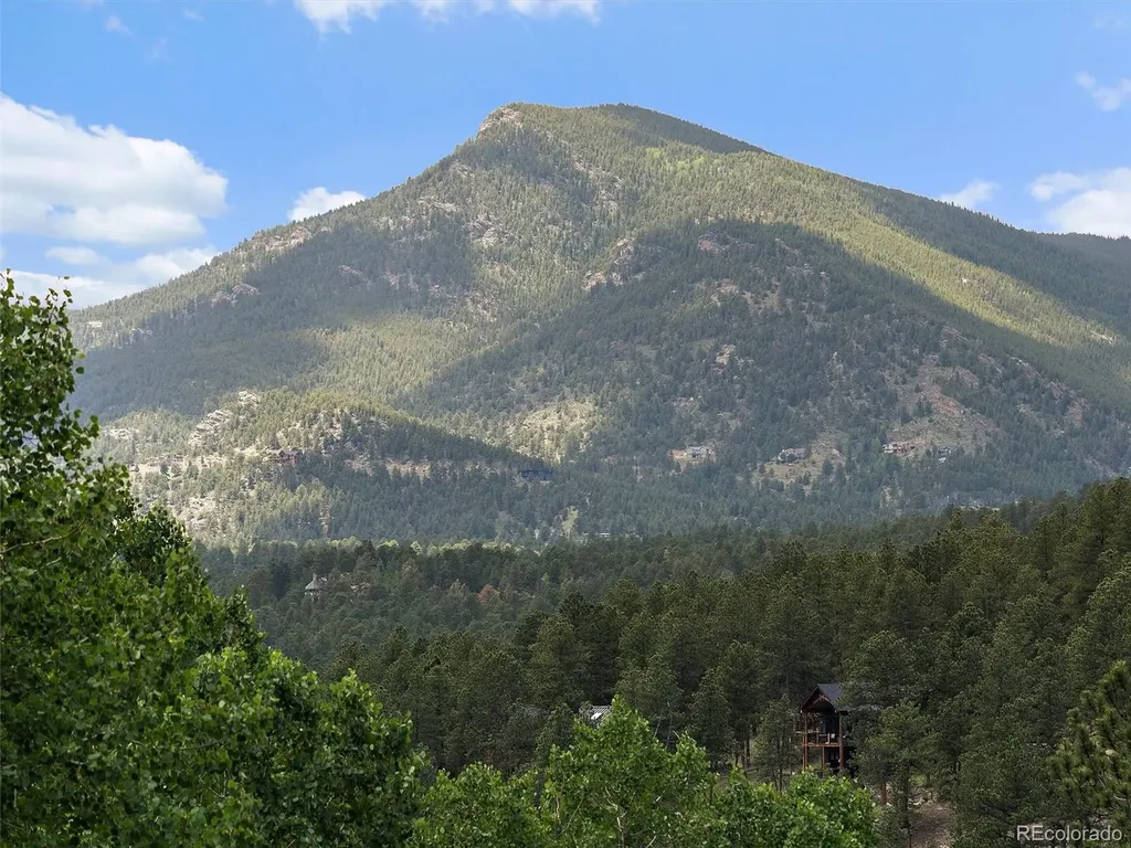 4252 S Meadow Brook Lane Evergreen CO 80439