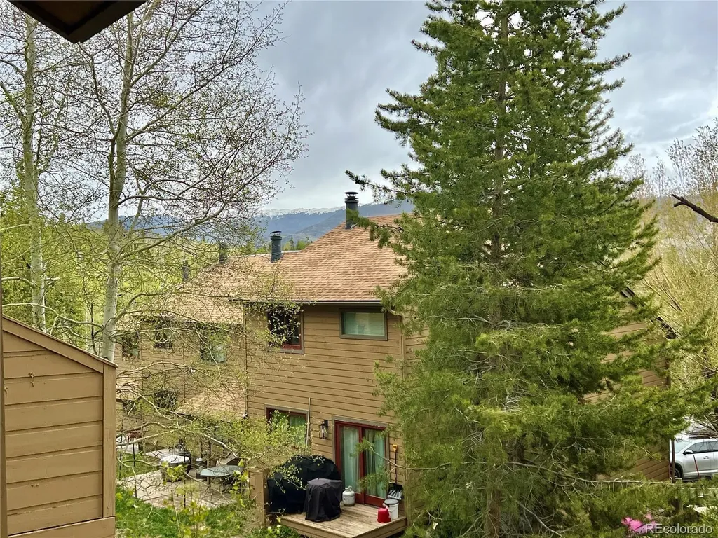 6722 Ryan Gulch Road Silverthorne CO 80498