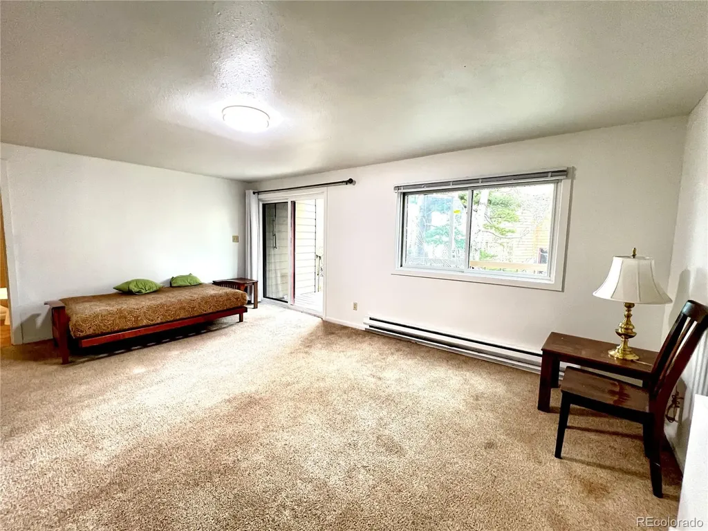 6722 Ryan Gulch Road Silverthorne CO 80498