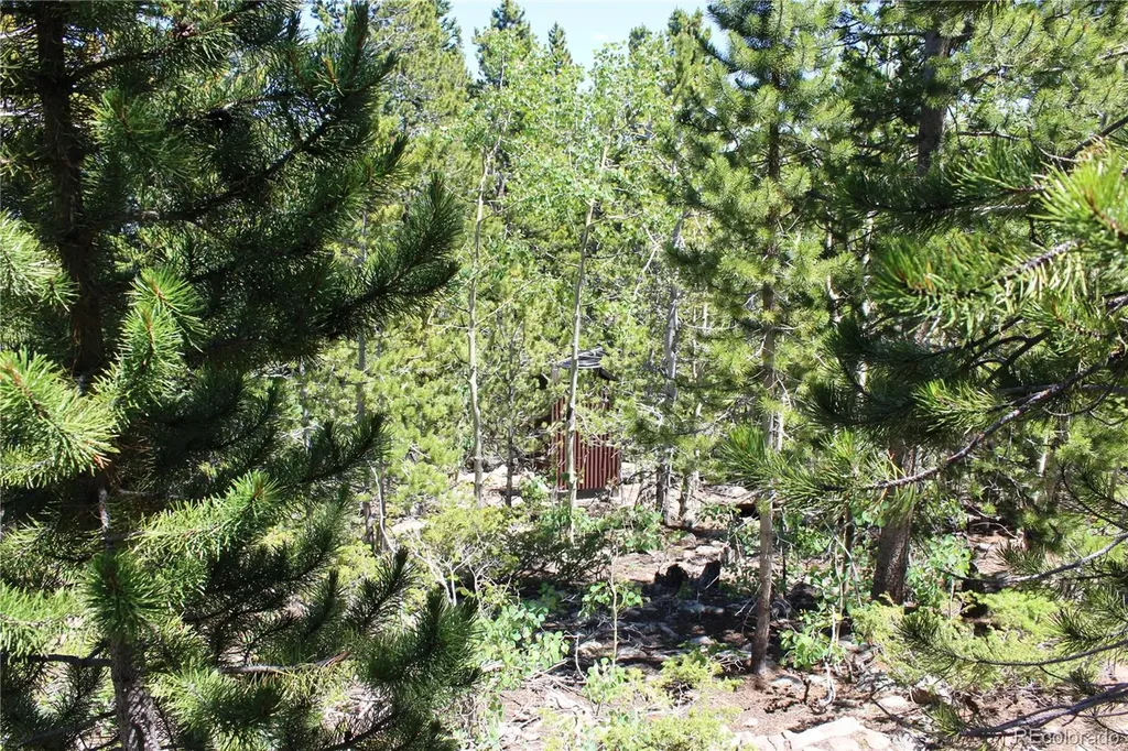 1595 Missouri Gulch Road Black Hawk CO 80422