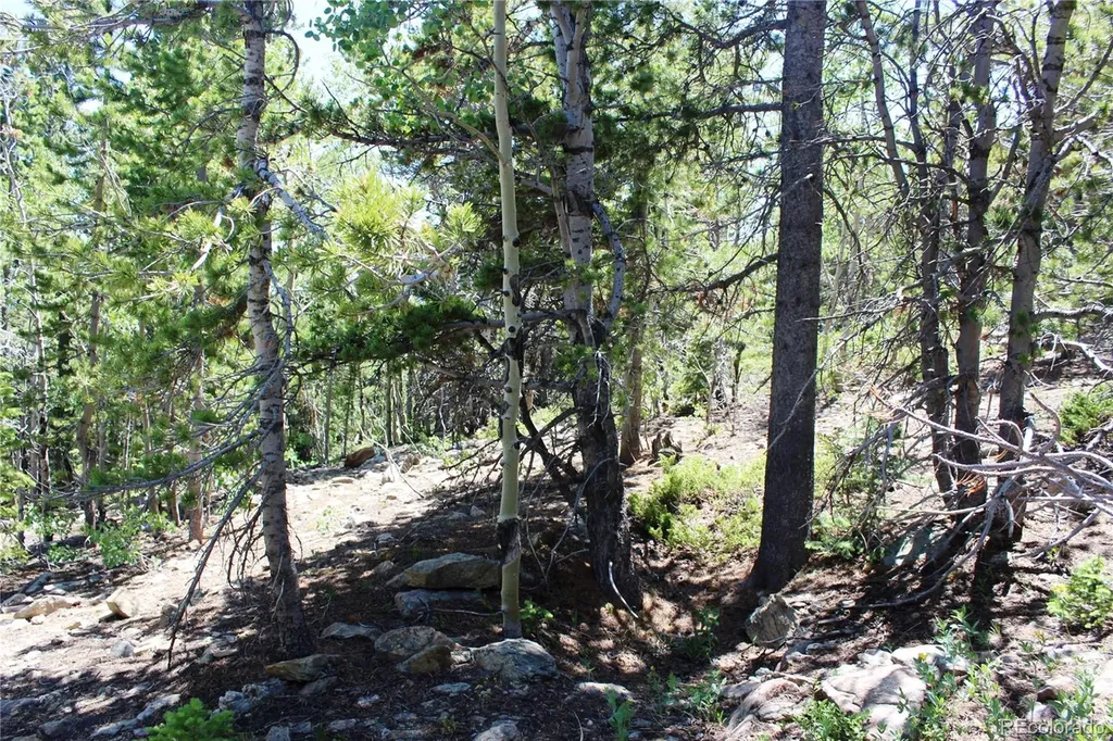 1595 Missouri Gulch Road Black Hawk CO 80422