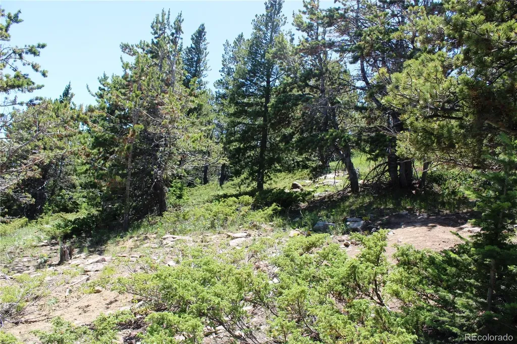 1595 Missouri Gulch Road Black Hawk CO 80422