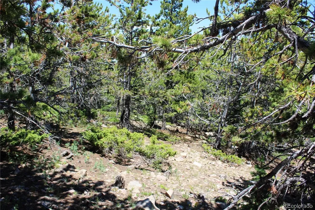 1595 Missouri Gulch Road Black Hawk CO 80422