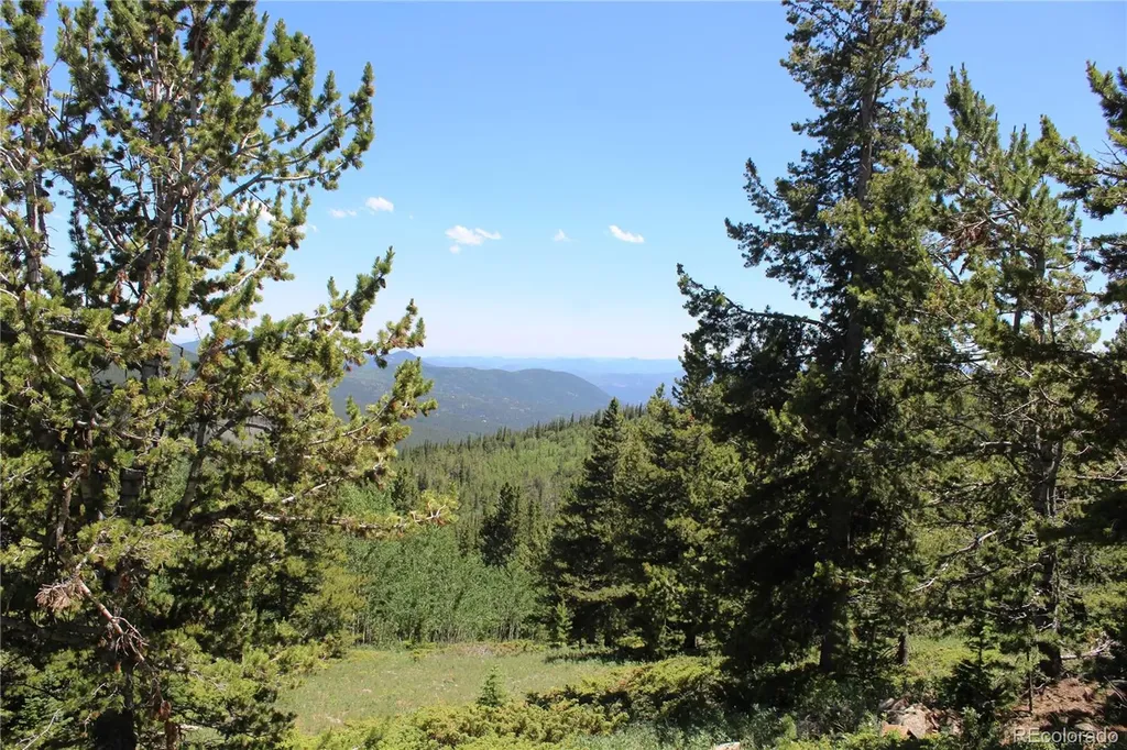 1595 Missouri Gulch Road Black Hawk CO 80422