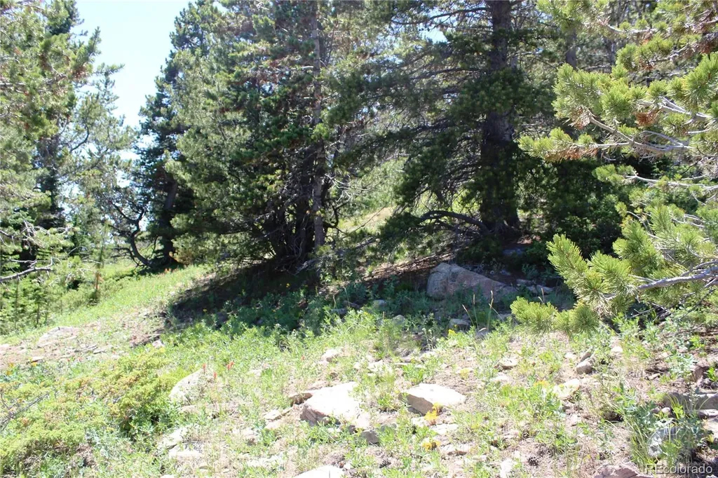 1595 Missouri Gulch Road Black Hawk CO 80422